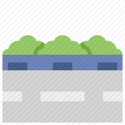 路