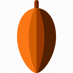 <em>可可</em>