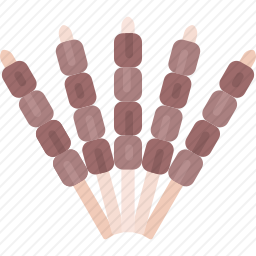<em>烤肉串</em>