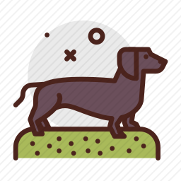 狗