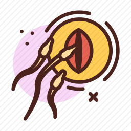 受精