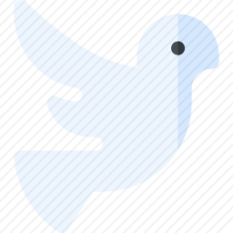 <em>鸽子</em>