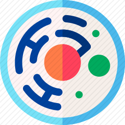细胞