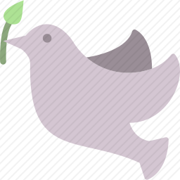 鸽子