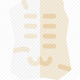 化石