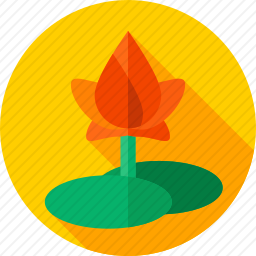 <em>沼泽</em>