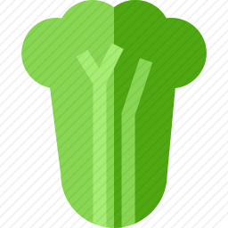 <em>白菜</em>