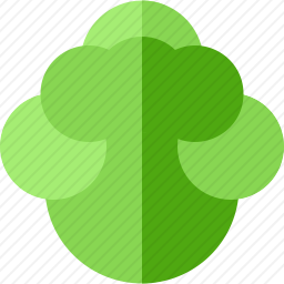 <em>白菜</em>