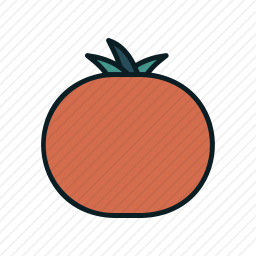 <em>番茄</em>