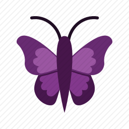 <em>蝴蝶</em>