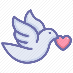 <em>鸽子</em>