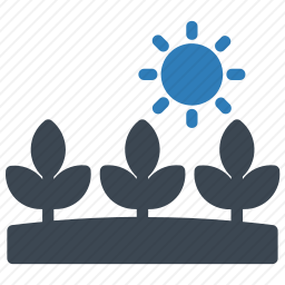 种植园