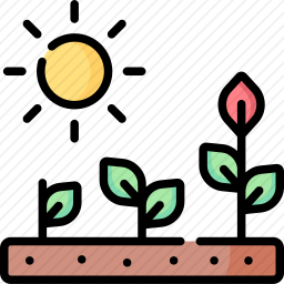 植物生长