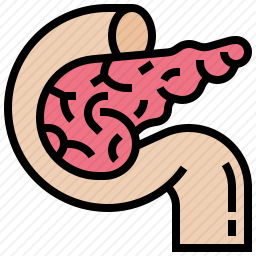 胰腺