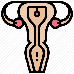 子宫