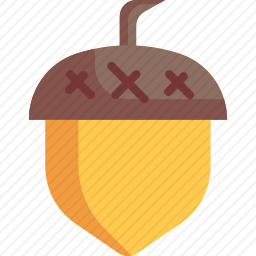 坚果