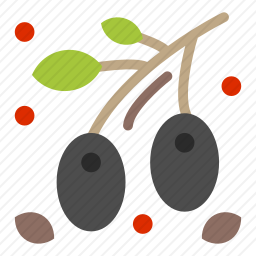 橄榄