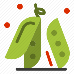 豌豆