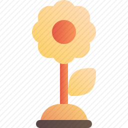 <em>向日葵</em>
