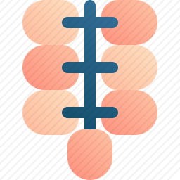 <em>葡萄</em>