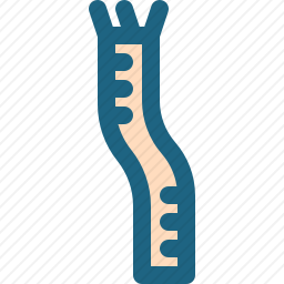 刷子