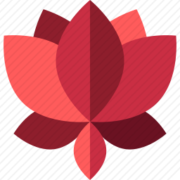 <em>莲花</em>