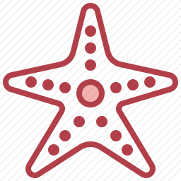 海星