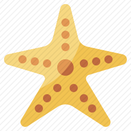海星