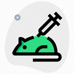 小白鼠