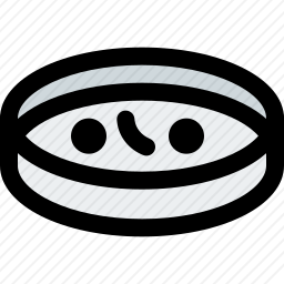 <em>培养皿</em>