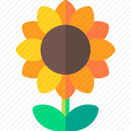 向日葵