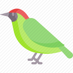 啄木鸟
