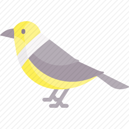 鸟