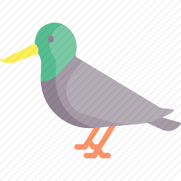 鸟