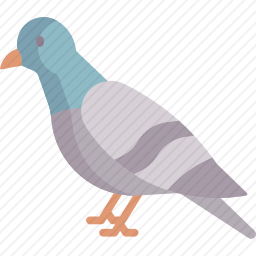 <em>鸽子</em>