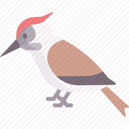 啄木鸟