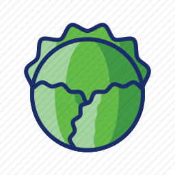 <em>白菜</em>