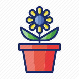 花盆