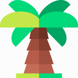 棕榈树