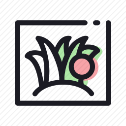 草