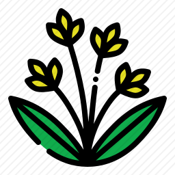 花
