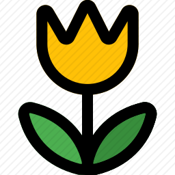 微距