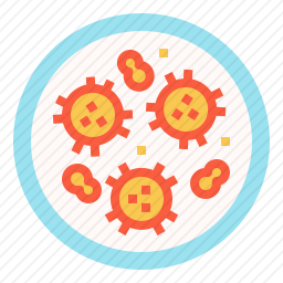 <em>病毒</em>