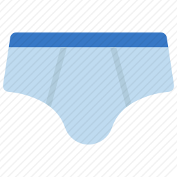<em>内裤</em>
