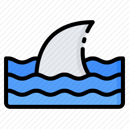 <em>鲨鱼</em>