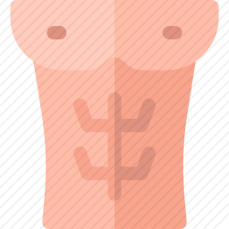 身材