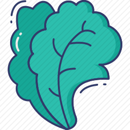 生菜