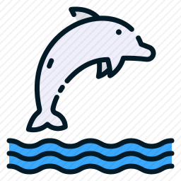 海豚