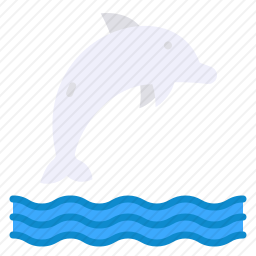 海豚