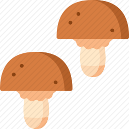 蘑菇